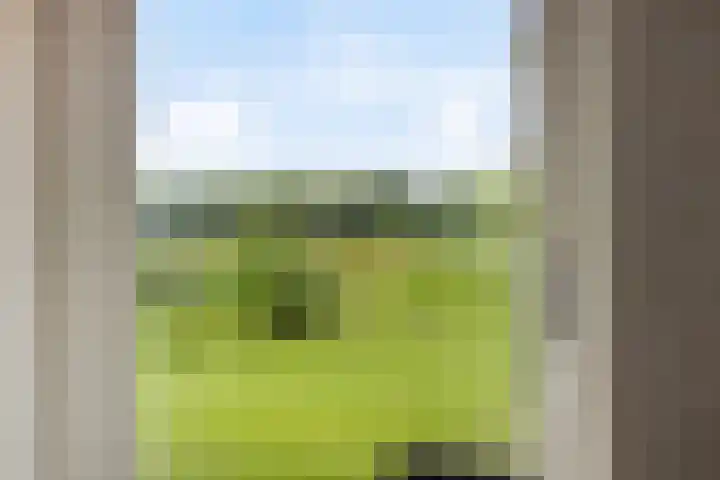 Schildwolderdijk 99 Schildwolde thumbnail 39