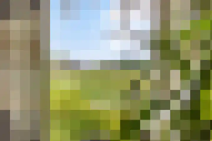 Schildwolderdijk 99 Schildwolde thumbnail 40