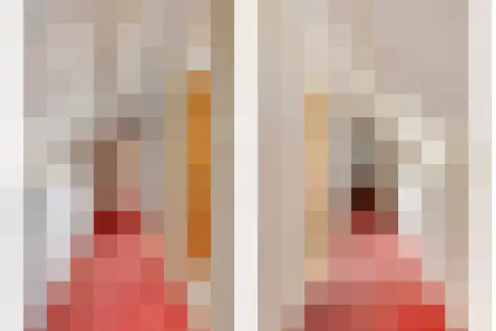 Schildwolderdijk 99 Schildwolde thumbnail 49