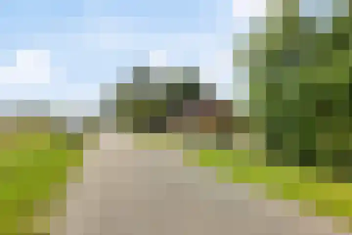 Schildwolderdijk 99 Schildwolde thumbnail 5