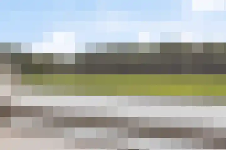 Schildwolderdijk 99 Schildwolde thumbnail 53