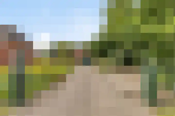 Schildwolderdijk 99 Schildwolde thumbnail 6
