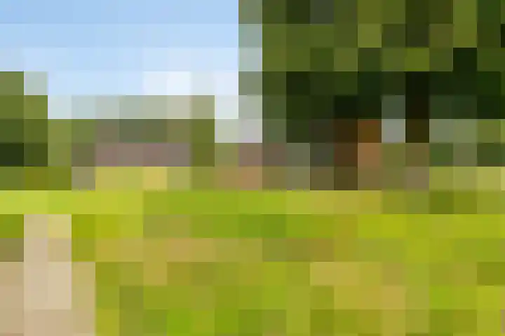 Schildwolderdijk 99 Schildwolde thumbnail 64