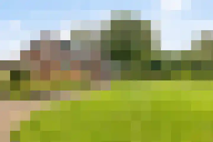 Schildwolderdijk 99 Schildwolde thumbnail 7
