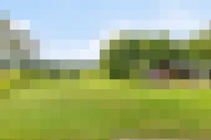 Schildwolderdijk 99 Schildwolde thumbnail 8