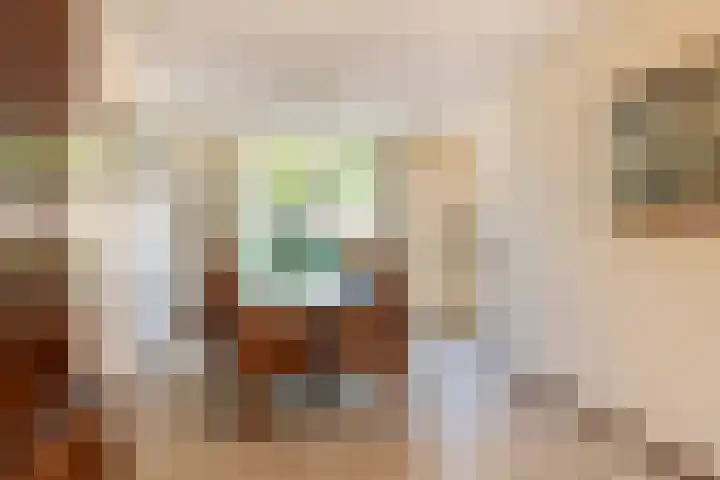 Schilfgaarde 26 Tiel thumbnail 10