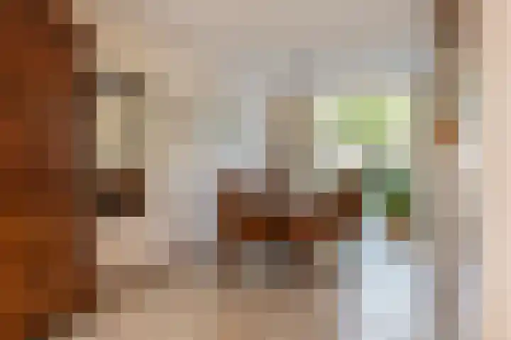 Schilfgaarde 26 Tiel thumbnail 11