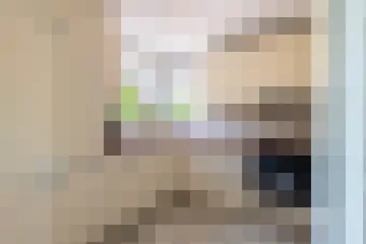 Schilfgaarde 26 Tiel thumbnail 15