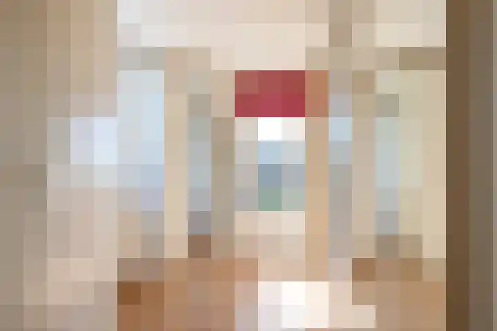 Schilfgaarde 26 Tiel thumbnail 21