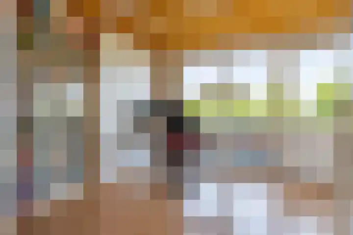 Schilfgaarde 26 Tiel thumbnail 29