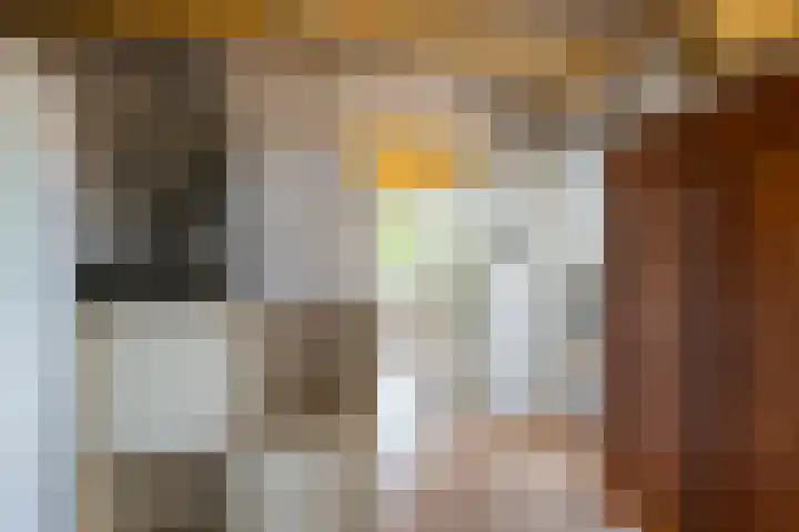 Schilfgaarde 26 Tiel thumbnail 31