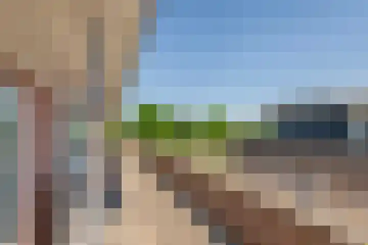 Schilfgaarde 26 Tiel thumbnail 33