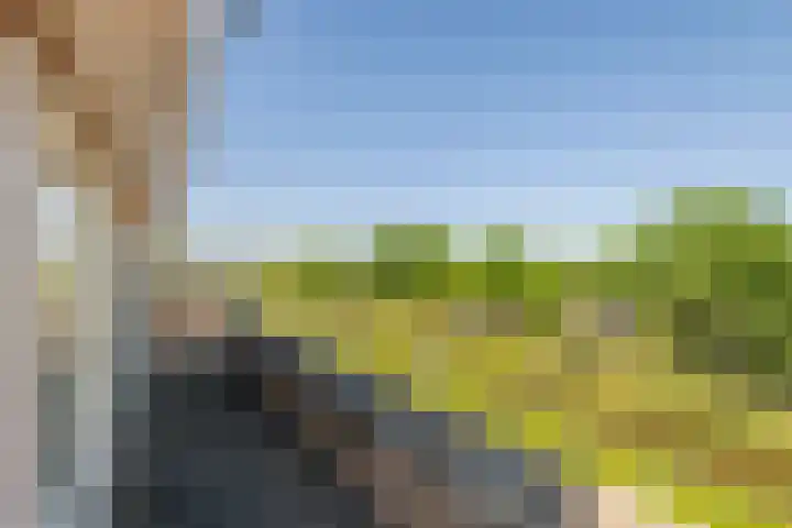 Schilfgaarde 26 Tiel thumbnail 34