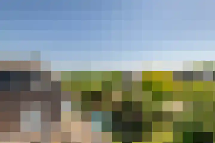Schilfgaarde 26 Tiel thumbnail 35