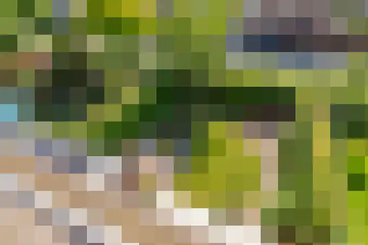 Schilfgaarde 26 Tiel thumbnail 36
