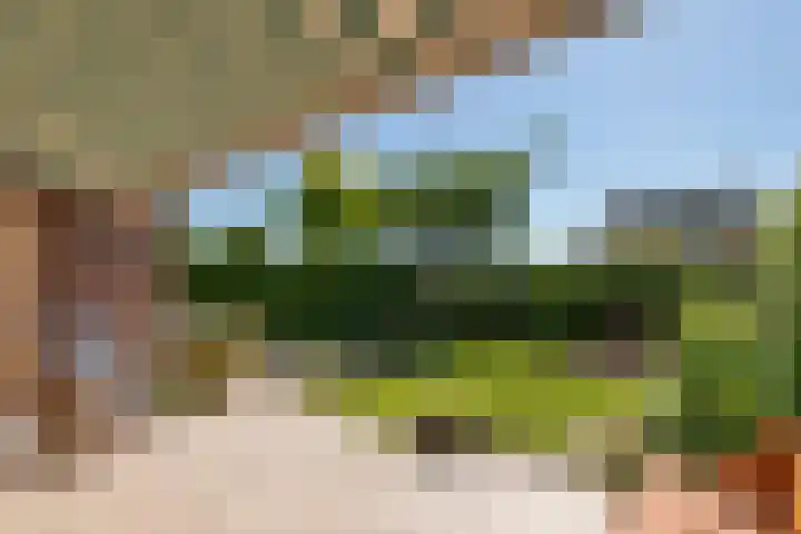 Schilfgaarde 26 Tiel thumbnail 37