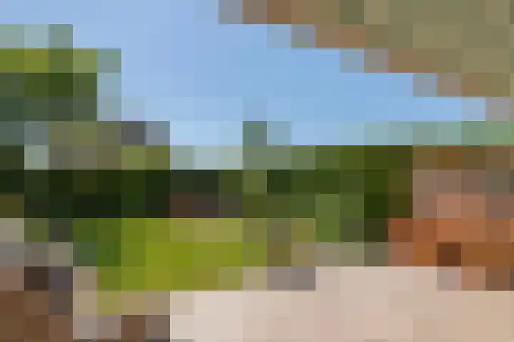 Schilfgaarde 26 Tiel thumbnail 38