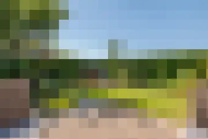 Schilfgaarde 26 Tiel thumbnail 39