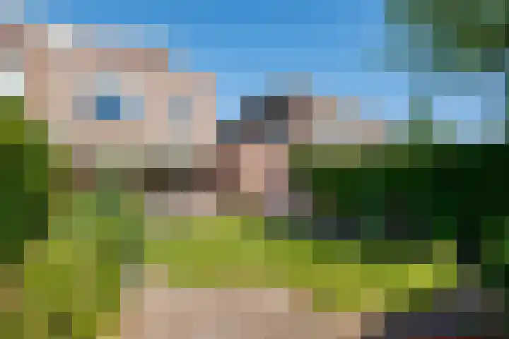 Schilfgaarde 26 Tiel thumbnail 41
