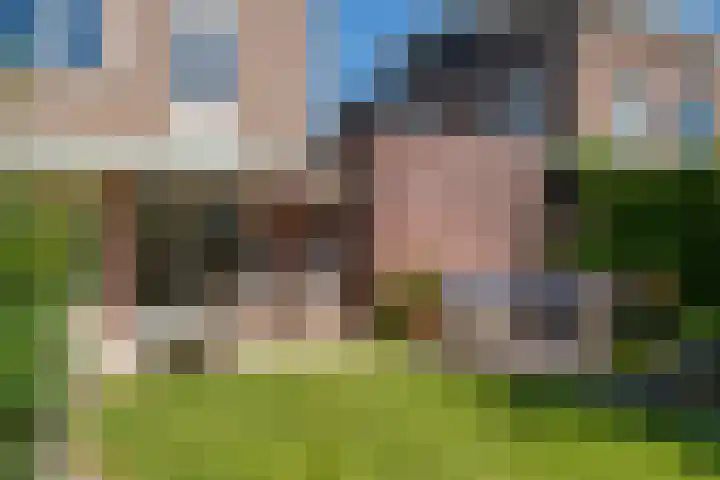 Schilfgaarde 26 Tiel thumbnail 42