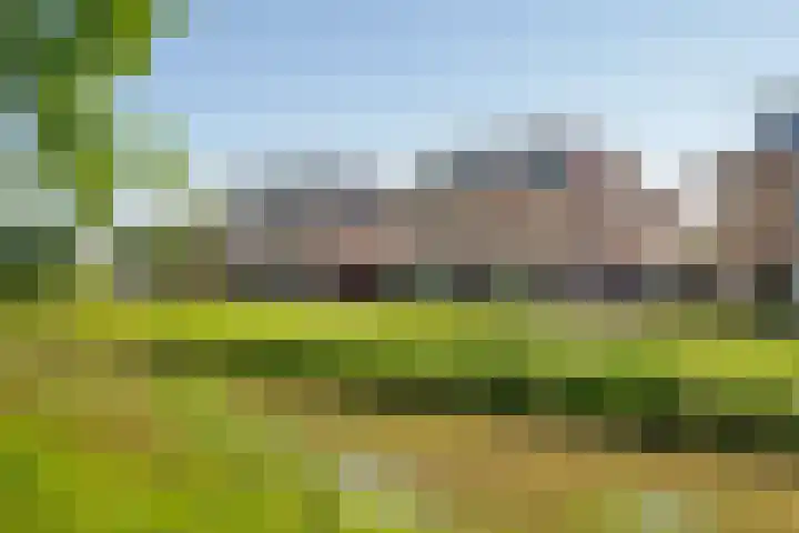 Schilfgaarde 26 Tiel thumbnail 44