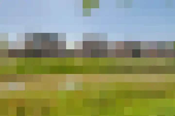 Schilfgaarde 26 Tiel thumbnail 45
