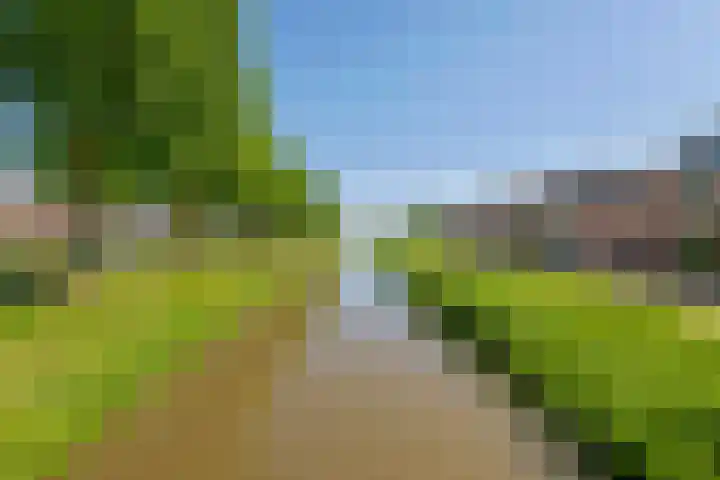 Schilfgaarde 26 Tiel thumbnail 46