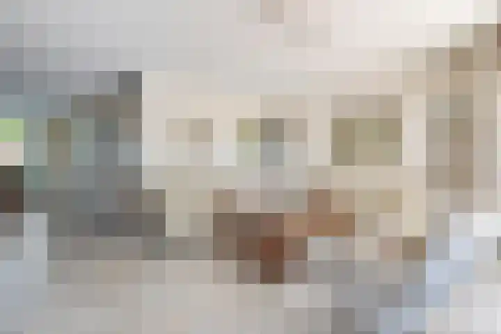 Schilfgaarde 26 Tiel thumbnail 5