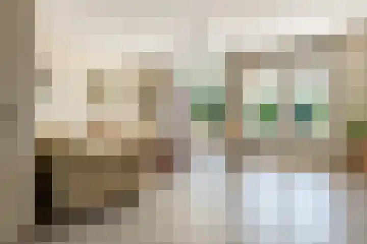 Schilfgaarde 26 Tiel thumbnail 6