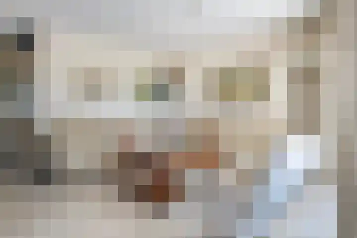 Schilfgaarde 26 Tiel thumbnail 7