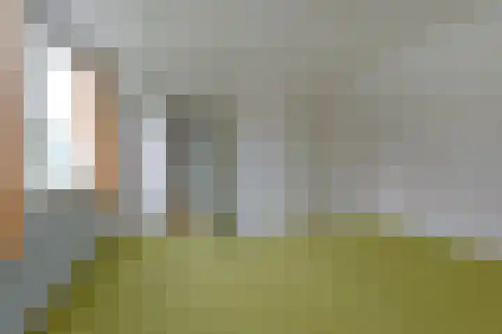 Schilkerweg 6 A Ter Aar thumbnail 14