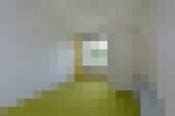 Schilkerweg 6 A Ter Aar thumbnail 17