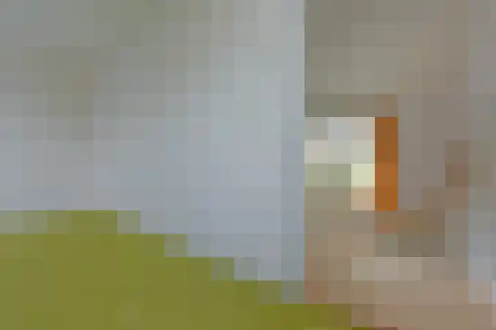 Schilkerweg 6 A Ter Aar thumbnail 18