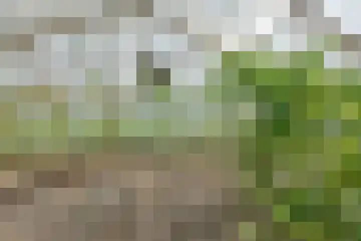 Schilkerweg 6 A Ter Aar thumbnail 23