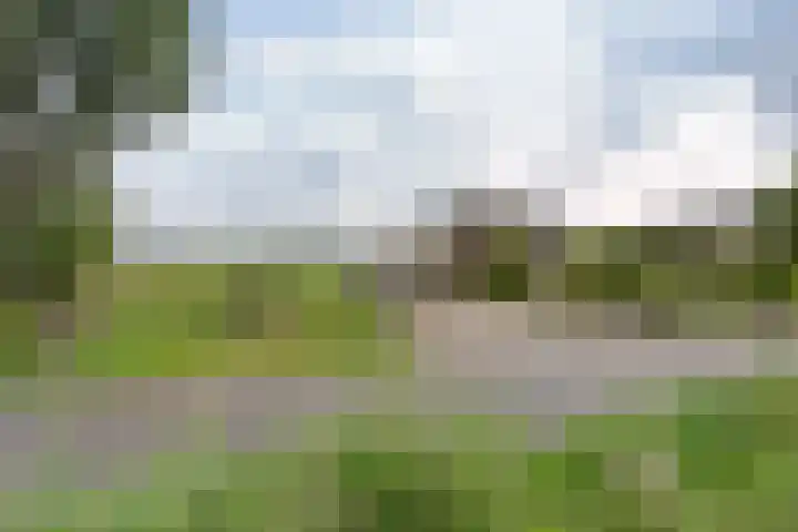 Schilkerweg 6 A Ter Aar thumbnail 26