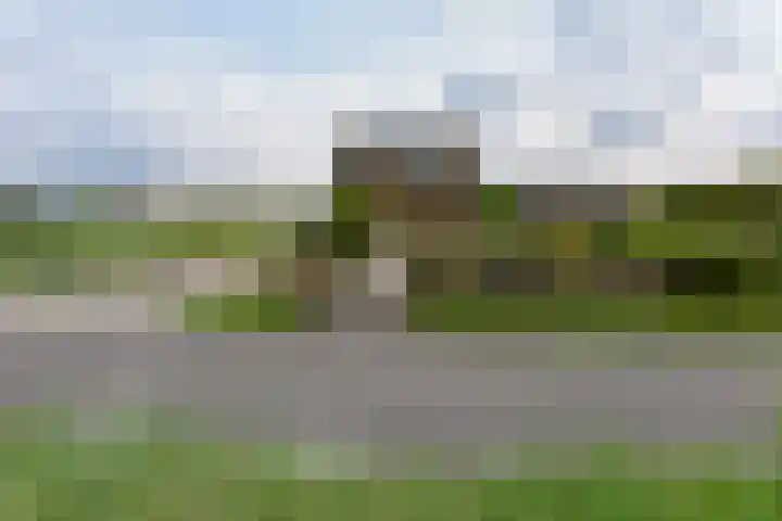 Schilkerweg 6 A Ter Aar thumbnail 27