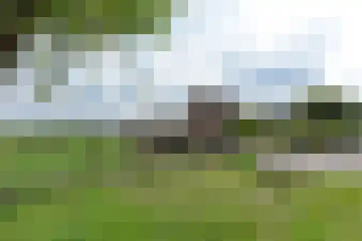 Schilkerweg 6 A Ter Aar thumbnail 30