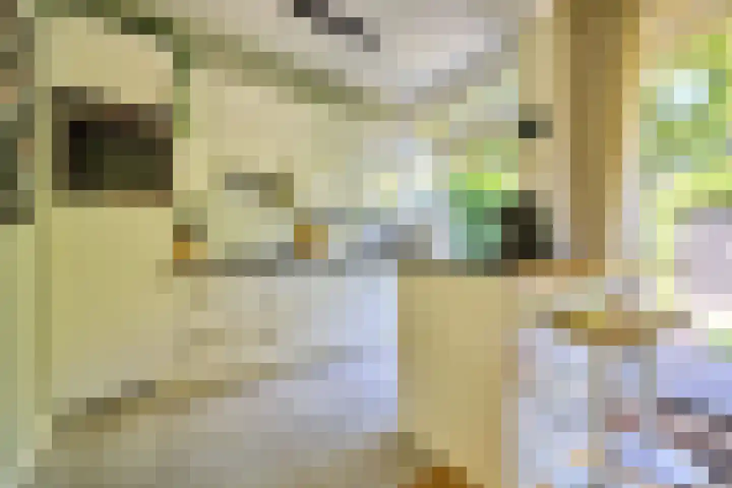 Schillerlaan 11 Utrecht thumbnail 10