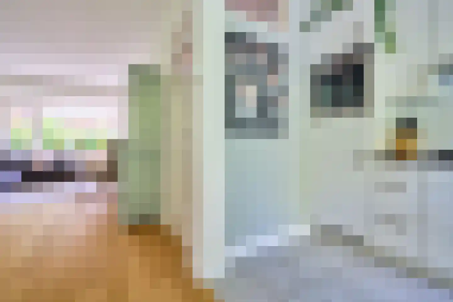 Schillerlaan 11 Utrecht thumbnail 11