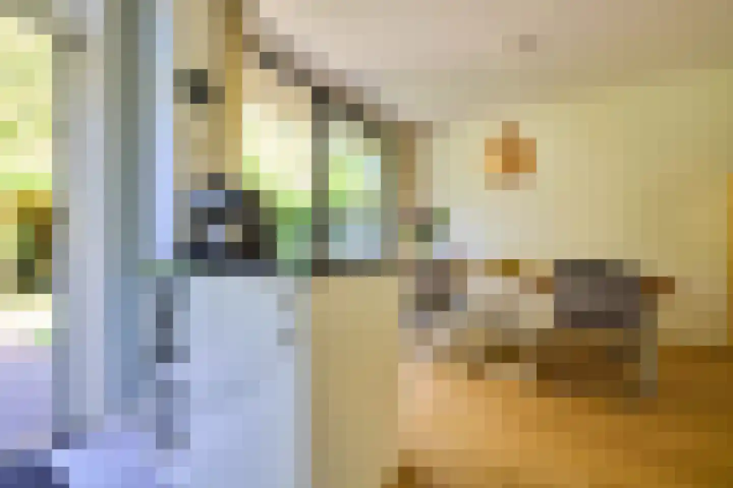 Schillerlaan 11 Utrecht thumbnail 12