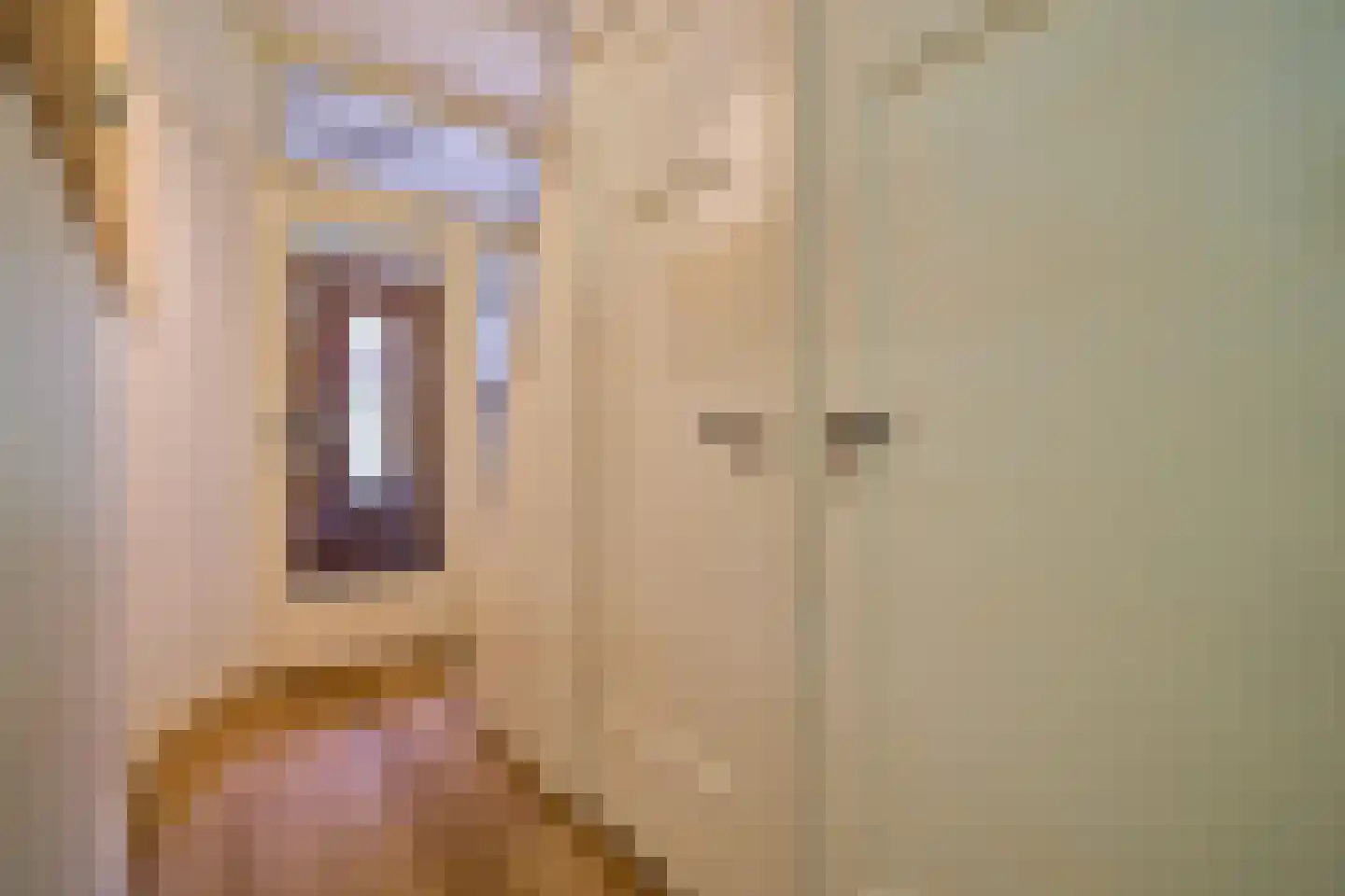 Schillerlaan 11 Utrecht thumbnail 20
