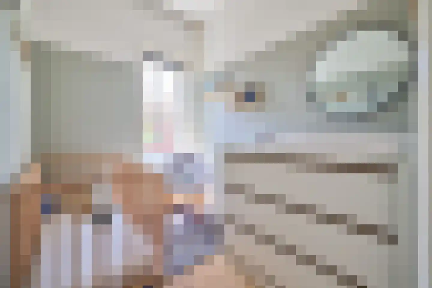 Schillerlaan 11 Utrecht thumbnail 33