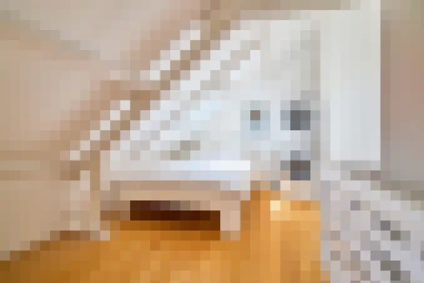 Schillerlaan 11 Utrecht thumbnail 35