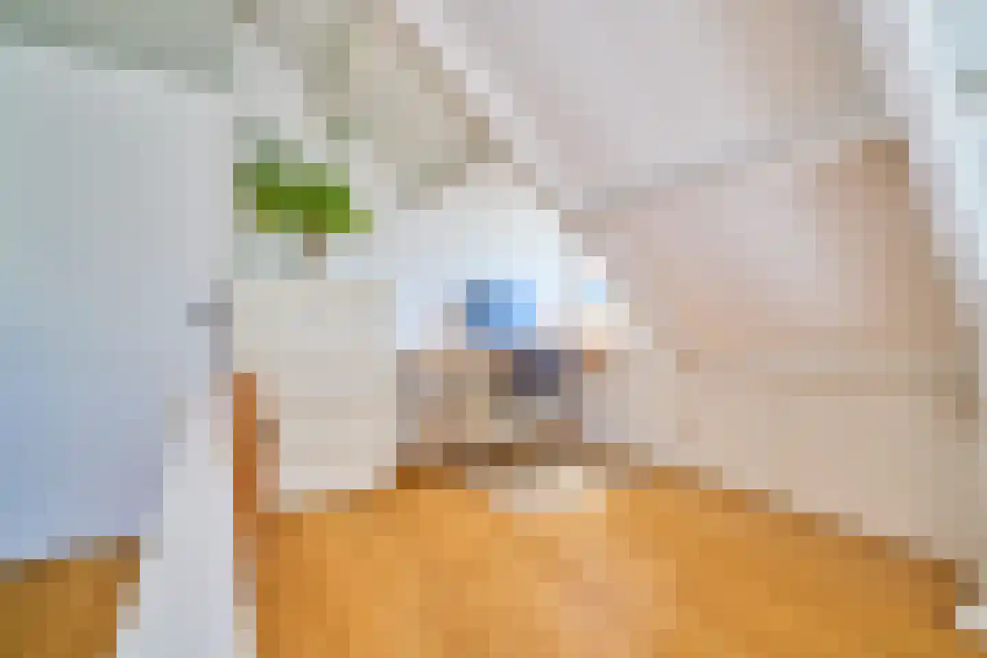 Schillerlaan 11 Utrecht thumbnail 36