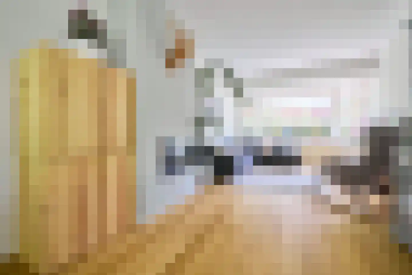Schillerlaan 11 Utrecht thumbnail 4