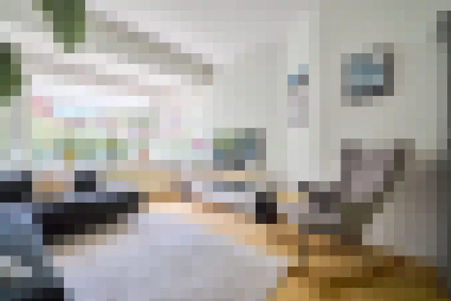 Schillerlaan 11 Utrecht thumbnail 5