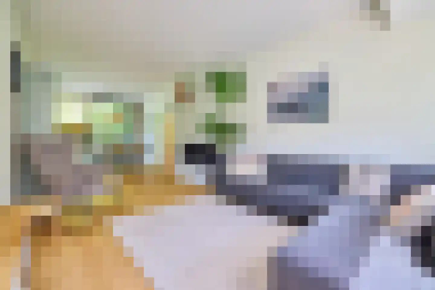 Schillerlaan 11 Utrecht thumbnail 7