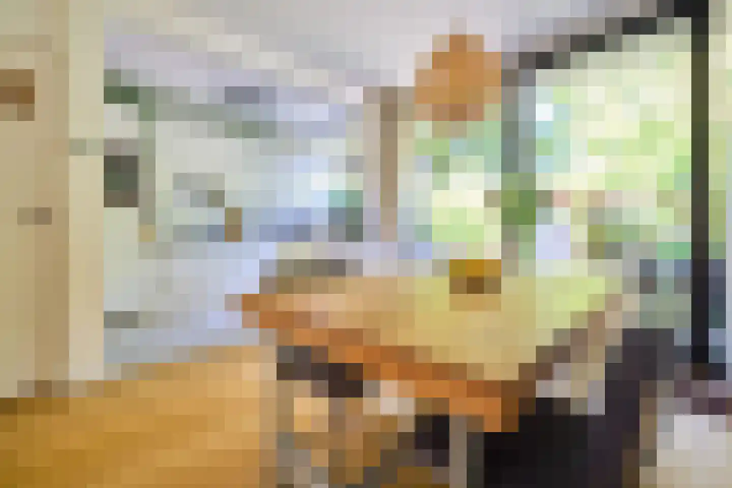 Schillerlaan 11 Utrecht thumbnail 9