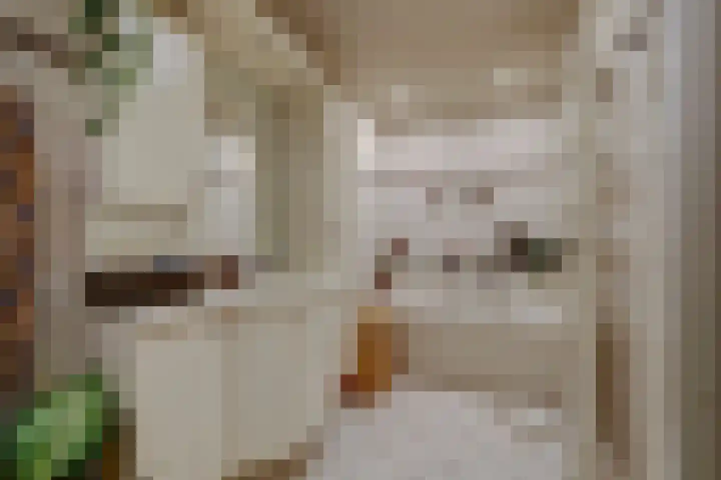 Schillerstraat 63 Venlo thumbnail 17