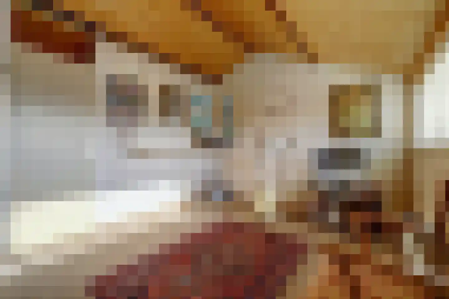 Schillerstraat 63 Venlo thumbnail 21